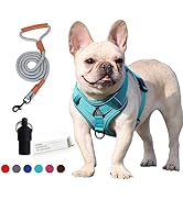 ペリ犬 n47 dog gear store (@n47_doggearstore) • Instagram photos